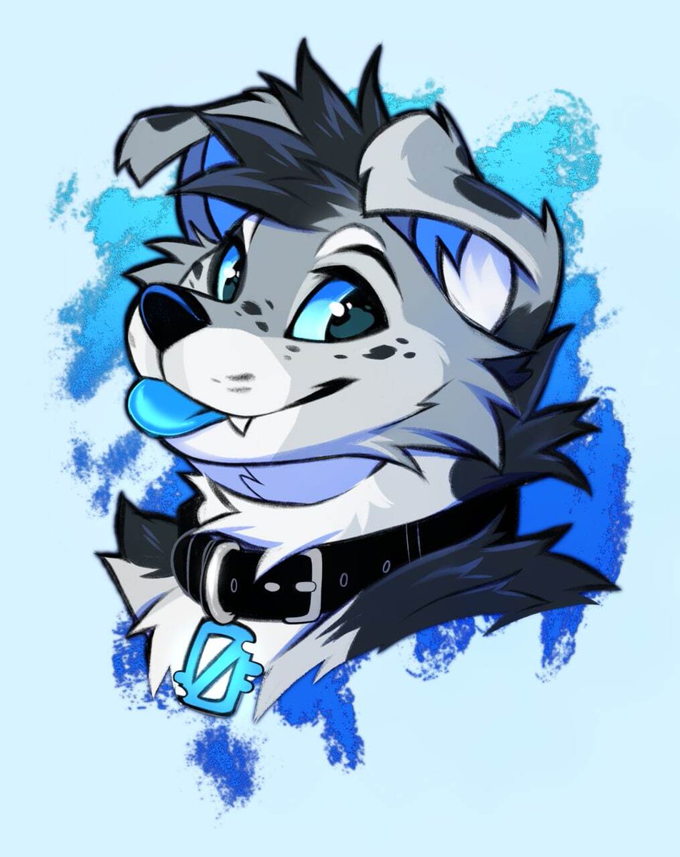 definitely a blue dog of all time