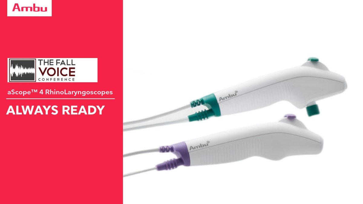 The Fall Voice tweet media