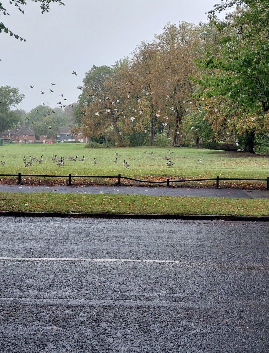 WeoleyWMP's tweet photo. 👣 Out on foot patrol in #Weoley today — engaging with the community, listening to concerns, and keeping the area safe. Say hello if you see us around!  👋 

#PCSOTeam #CommunityPolicing https://t.co/O0LoFXaQ3t