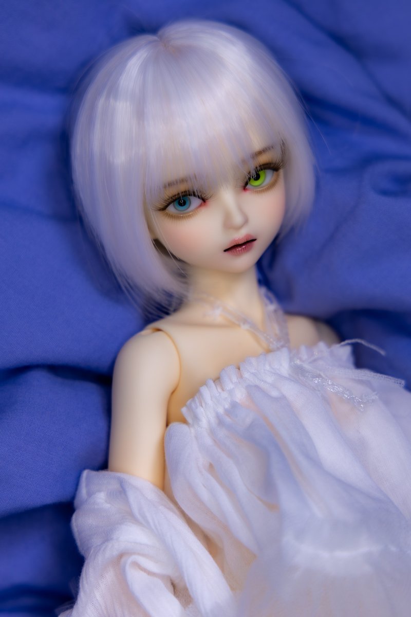 目力を感じる・・・
#うちのこかわいい 
#myoudoll 
#delia