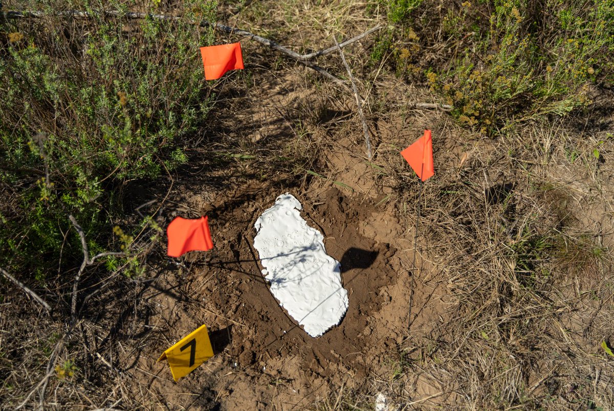 wildtomorrow's tweet photo. Wild Tomorrow &amp; Wildlife Defense co-hosted a Wildlife Crime Scene Training in KwaZulu-Natal 🐾 With WWF support, rangers from 11 orgs learned forensic skills—from evidence collection to courtroom prep—to fight poaching &amp; protect wildlife 🐘
👉 https://t.co/eQ5RfnGTyA https://t.co/tRRRHrcLaB