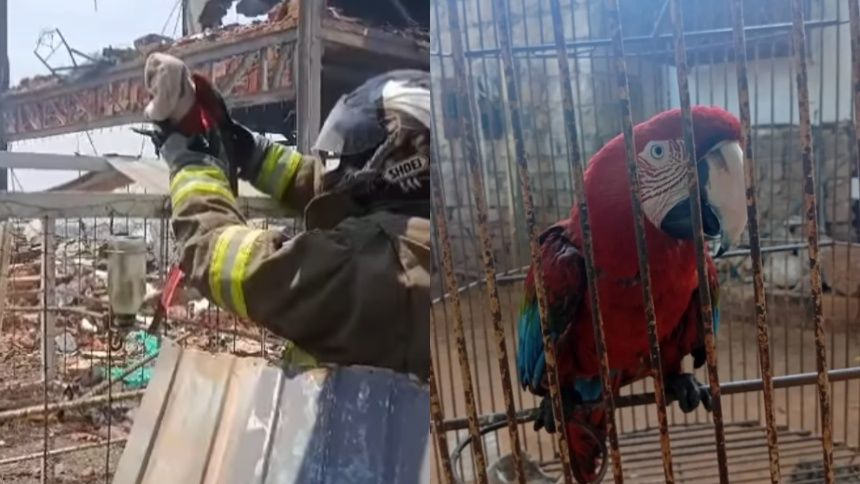 El Clarín tweet media