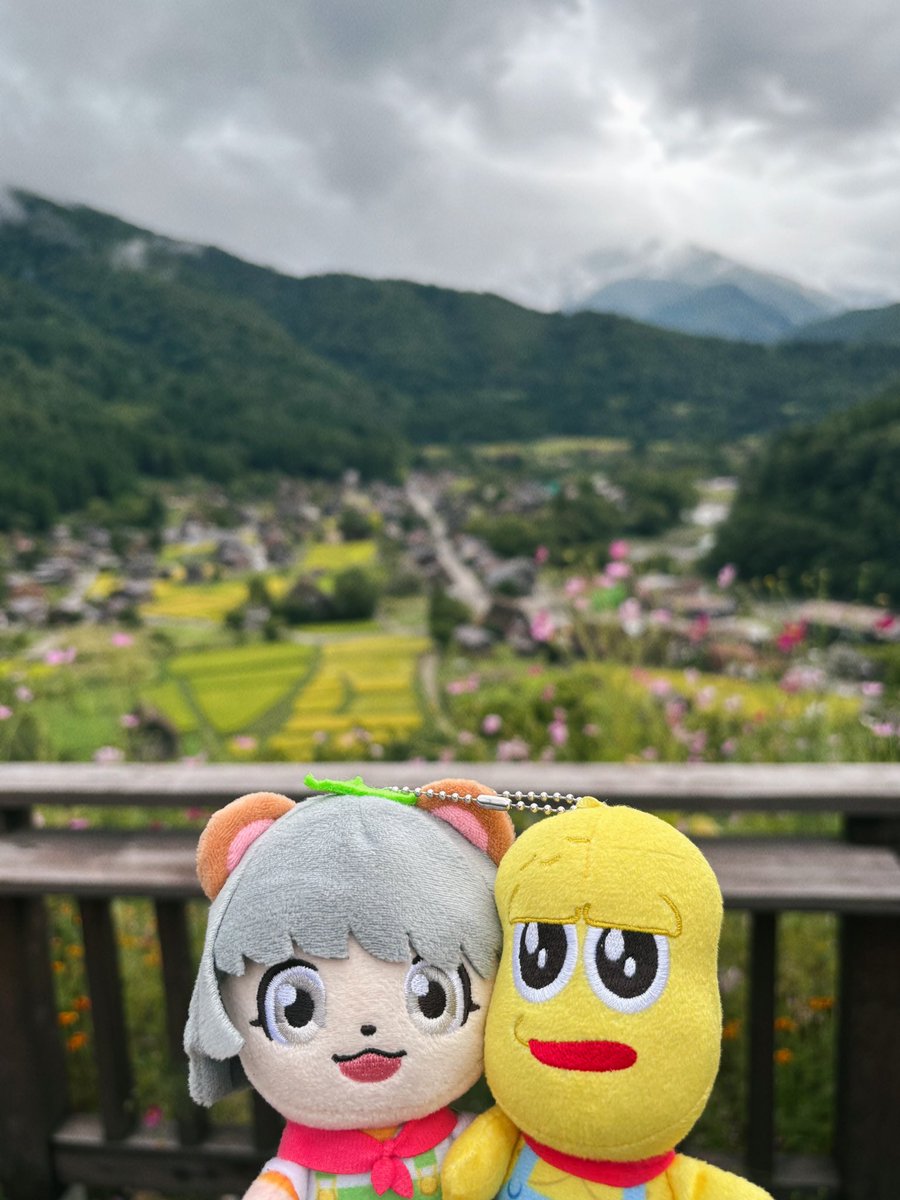 白川郷展望台にたぬき発見👀🍃
#ぽんぽこかしこい