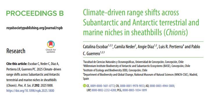Pertierra Lab Research Group (@pertierralab) on Twitter photo New paper. The two antarctic 'pidgeons' (sheathbills) conform a very unique monotypic family that scavenge across the southernmost coasts of the South hemisphere. They are a 'big' and a 'little' brother. Their fate is tied to the welfare of their habitats
<a href="/MilenioBASE/">Instituto Milenio BASE</a> <a href="/mncn_csic/">Museo Nacional de Ciencias Naturales</a> New paper. The two antarctic 'pidgeons' (sheathbills) conform a very unique monotypic family that scavenge across the southernmost coasts of the South hemisphere. They are a 'big' and a 'little' brother. Their fate is tied to the welfare of their habitats
<a href="/MilenioBASE/">Instituto Milenio BASE</a> <a href="/mncn_csic/">Museo Nacional de Ciencias Naturales</a>