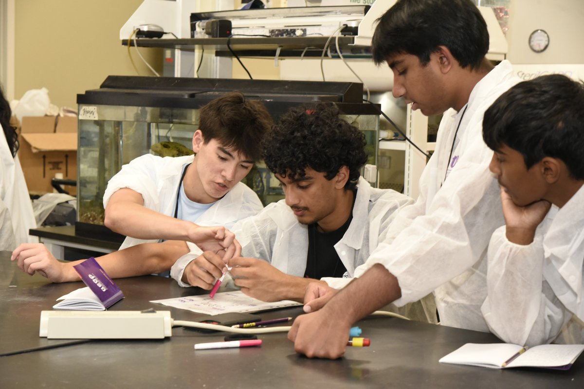 U.S. AEOP tweet media