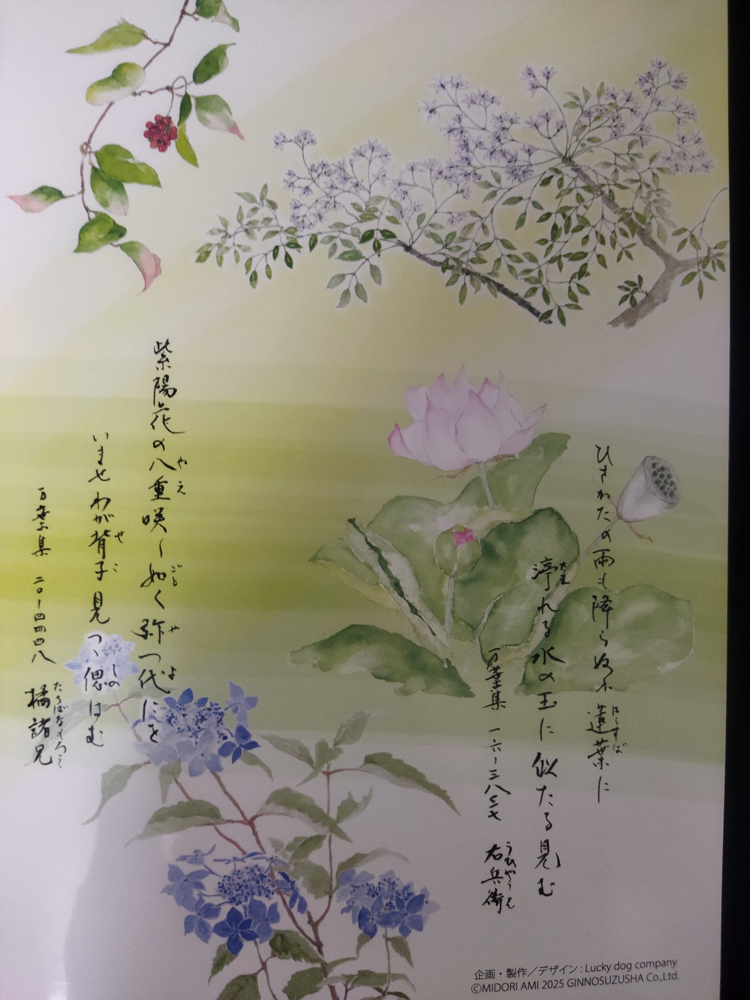 花　万葉集 しょんぼり😔万葉集草木68.エゴノキ | かぎけん花図鑑