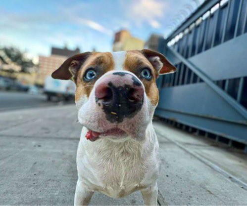 Hey—Low Key here ♥️Just making sure you haven’t forgotten about me 🫶🏻🐾 🐾