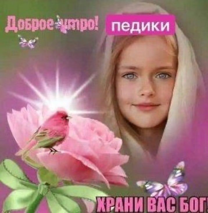 извинитесь