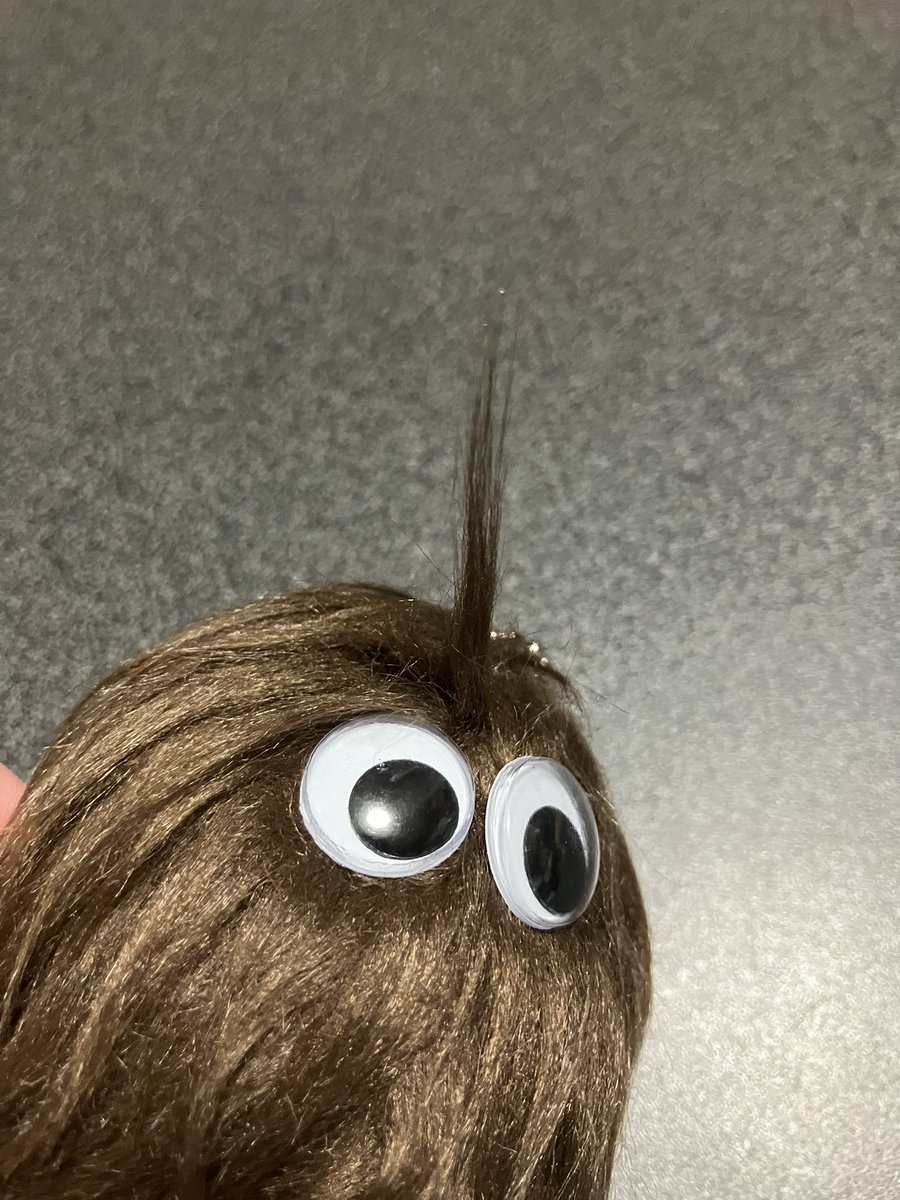 さっきの写メでもそうなんだけど今回お迎えしたグババ、何度毛を整えてもユニコーンみたいな一角獣？寝癖？頭になってしまいますんwかわええ😂