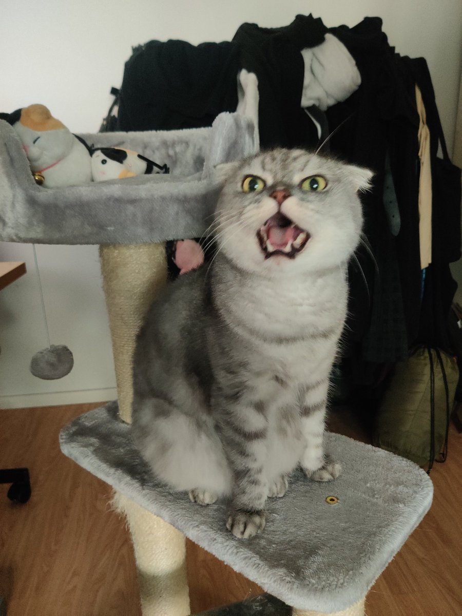 Simo after he smell my fart xP