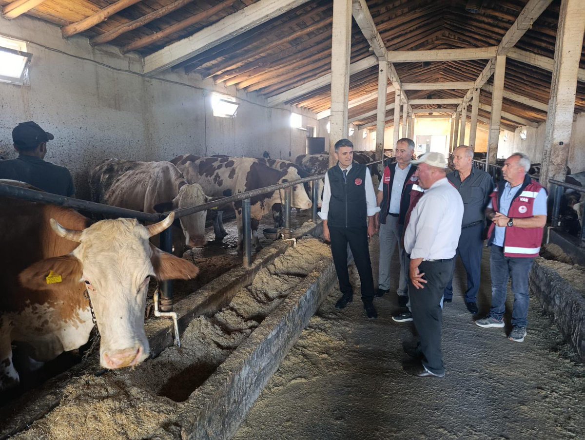 Tuşba İlçe Tarım ve Orman Müdürlüğü (@tusbatarimorman) on Twitter photo Kırsalda Bereket Hayvancılığa Destek Projesi kapsamında dağıtımı yapılan Angusların ilk doğumu gerçekleşti 🐄
İl Müd. ve İlçe Müd. projeden yararlanan çiftçilerimizi ziyaret ederek incelemelerde bulunup hayırlı olsun dileklerini iletti
<a href="/tcvanvaliligi/">T.C. Van Valiliği 🇹🇷</a> <a href="/trgyssmn/">Turgay ŞİŞMAN</a> <a href="/bulentveziroglu/">Bülent VEZİROĞLU</a> Kırsalda Bereket Hayvancılığa Destek Projesi kapsamında dağıtımı yapılan Angusların ilk doğumu gerçekleşti 🐄
İl Müd. ve İlçe Müd. projeden yararlanan çiftçilerimizi ziyaret ederek incelemelerde bulunup hayırlı olsun dileklerini iletti
<a href="/tcvanvaliligi/">T.C. Van Valiliği 🇹🇷</a> <a href="/trgyssmn/">Turgay ŞİŞMAN</a> <a href="/bulentveziroglu/">Bülent VEZİROĞLU</a>