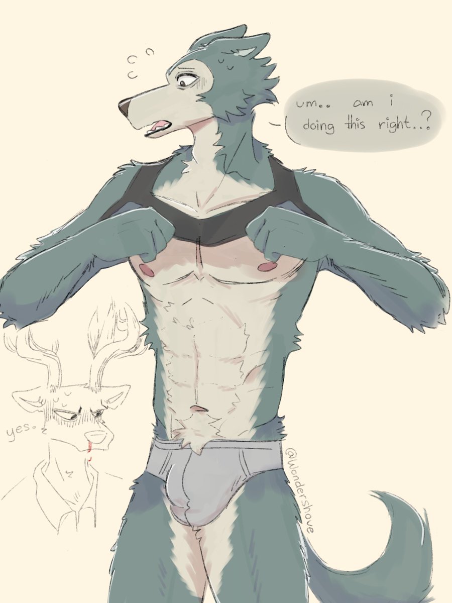 Wonder ☁️ tweet media