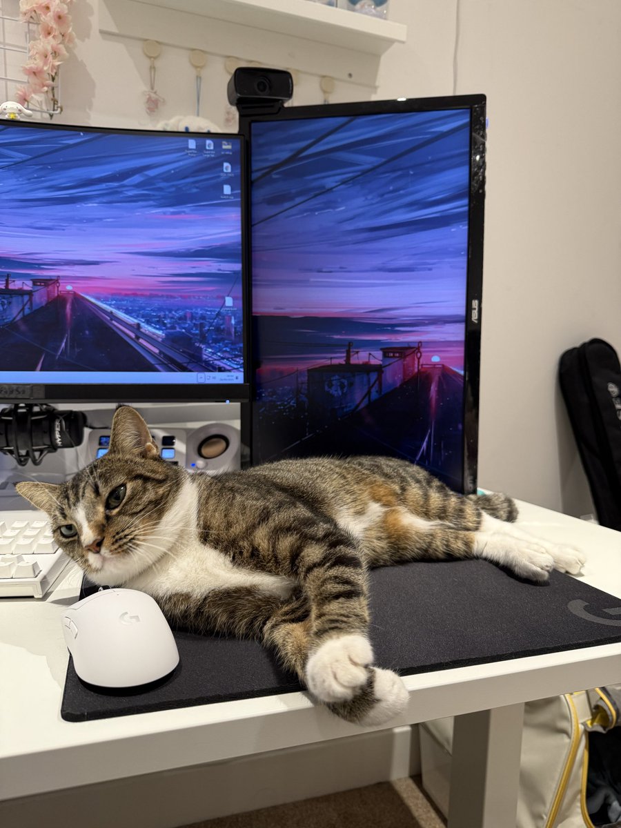 millywxo's tweet image. Tysm @LogitechG for sending me the Superlight 2 &amp;amp; G740 🥰

I think Denji approved of the new gear~ 

#ad #gifted #logitechgplaydays #logitechgplay