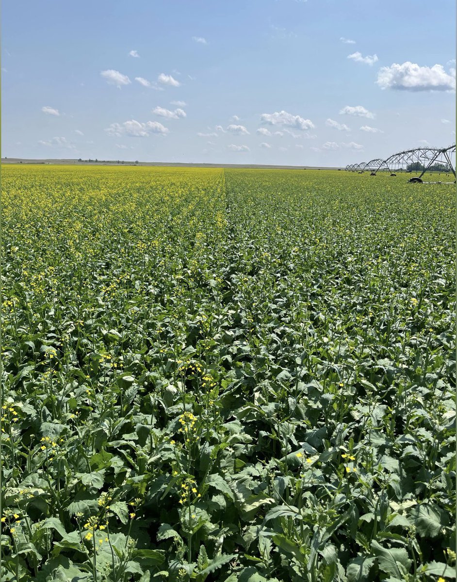 Adam Fast tweet media