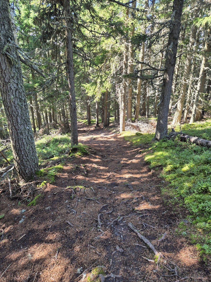 JanAtTwitte_r's tweet image. Schladming