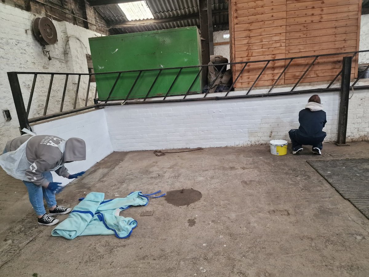 Stable Life tweet media