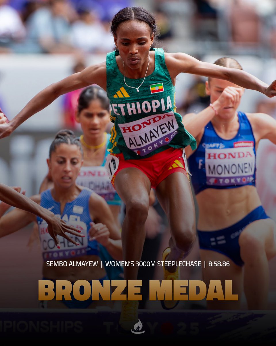 Global Sports Communication tweet media