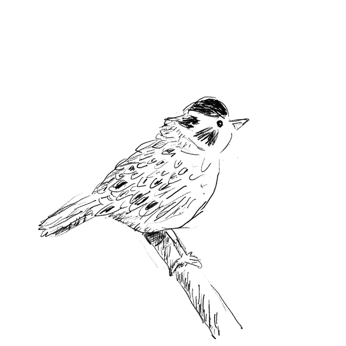 光永これゆき tweet media