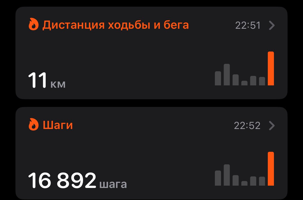 fuchstonem's tweet photo. Прогулялась https://t.co/glUDRqc2zi