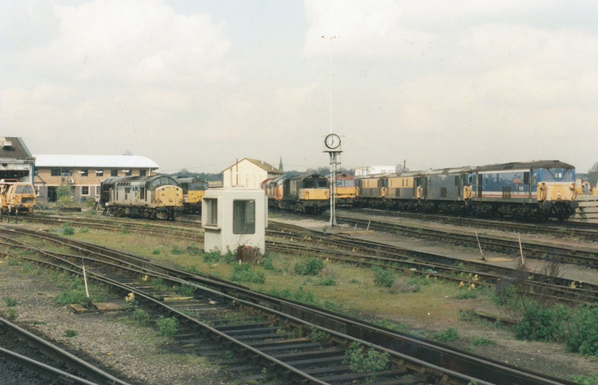 Nick the Pirate tweet media