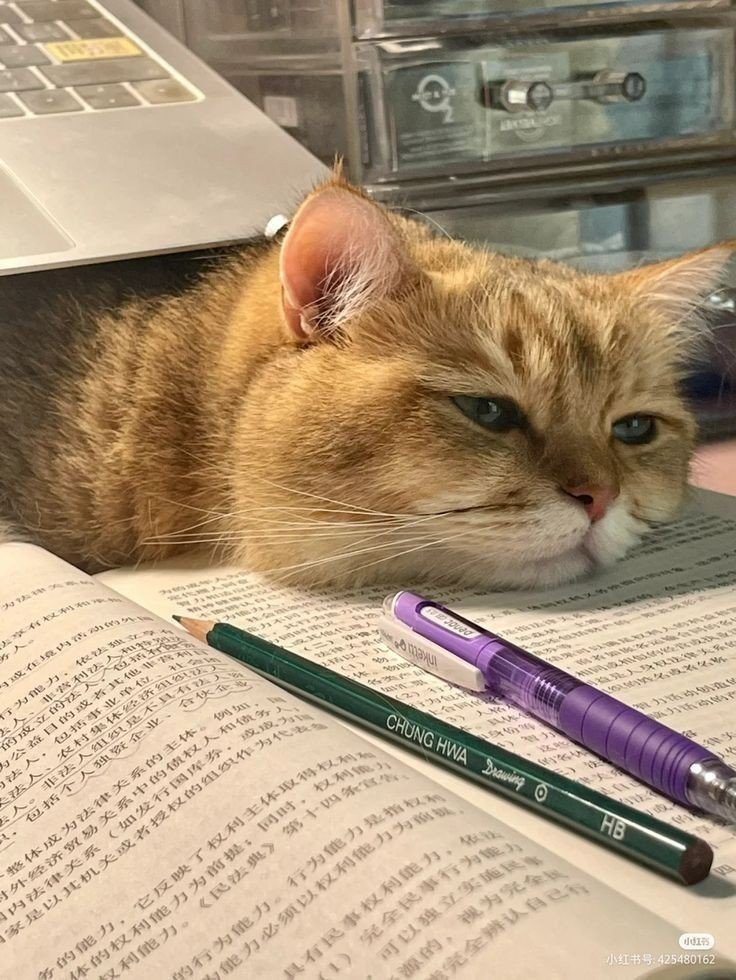 He hates studying