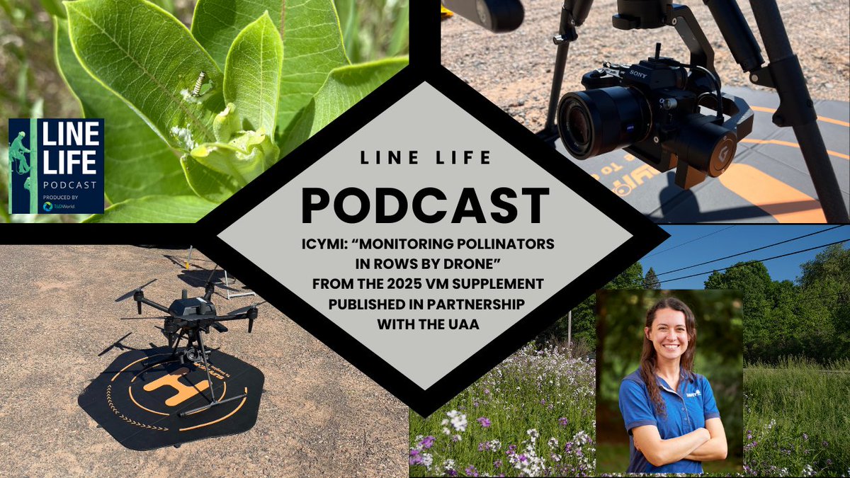AmyFischbach's tweet image. If you want to learn more about monitoring pollinators by drone, tune in to a new episode of the Line Life Podcast at podbean.com/ew/pb-9rq68-19… to listen to an audio story from the VM Supplement. @DaveyTree @JillRebuck #treesandutilities @tdworldmag @arborday