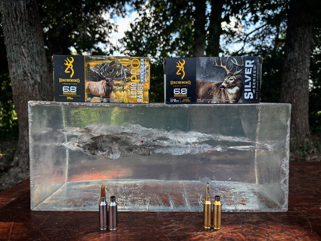Proof is in the performance. From impact to expansion, 6.8 Western is built to hit hard and go deep.

#BrowningAmmo #68Western #BallisticsTest #BigGame

📷 <a href="/HuntTheBreak/">Derek Dirnberger - The Break</a>