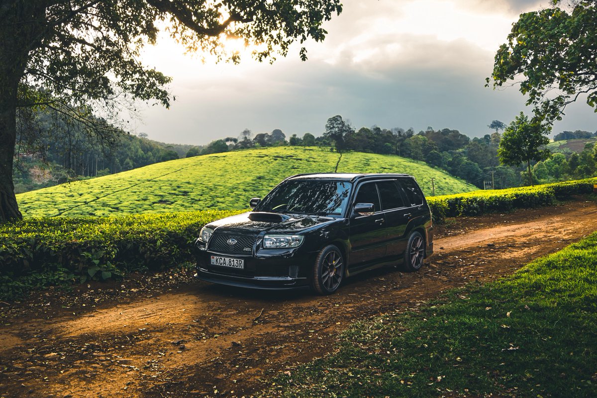 Kwesi Essuman tweet media