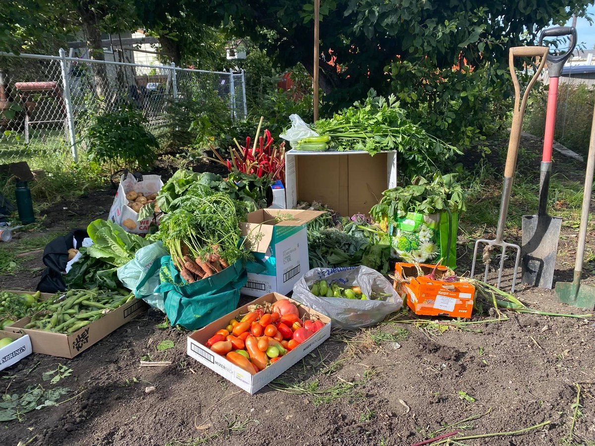 AMAcommunity's tweet photo. ๐ฑ #yeg gardenersโhelp us Harvest Hope! Bring your extra carrots, potatoes & beets to AMA South Service Centre (4260 95 St. NW) tomorrow @ 10am to 12. Weโll deliver your veggies to local food banks, helping 172,000 Albertans each month. ๐ท #HarvestingHope #AMACommunity https://t.co/ksyFDgV89E