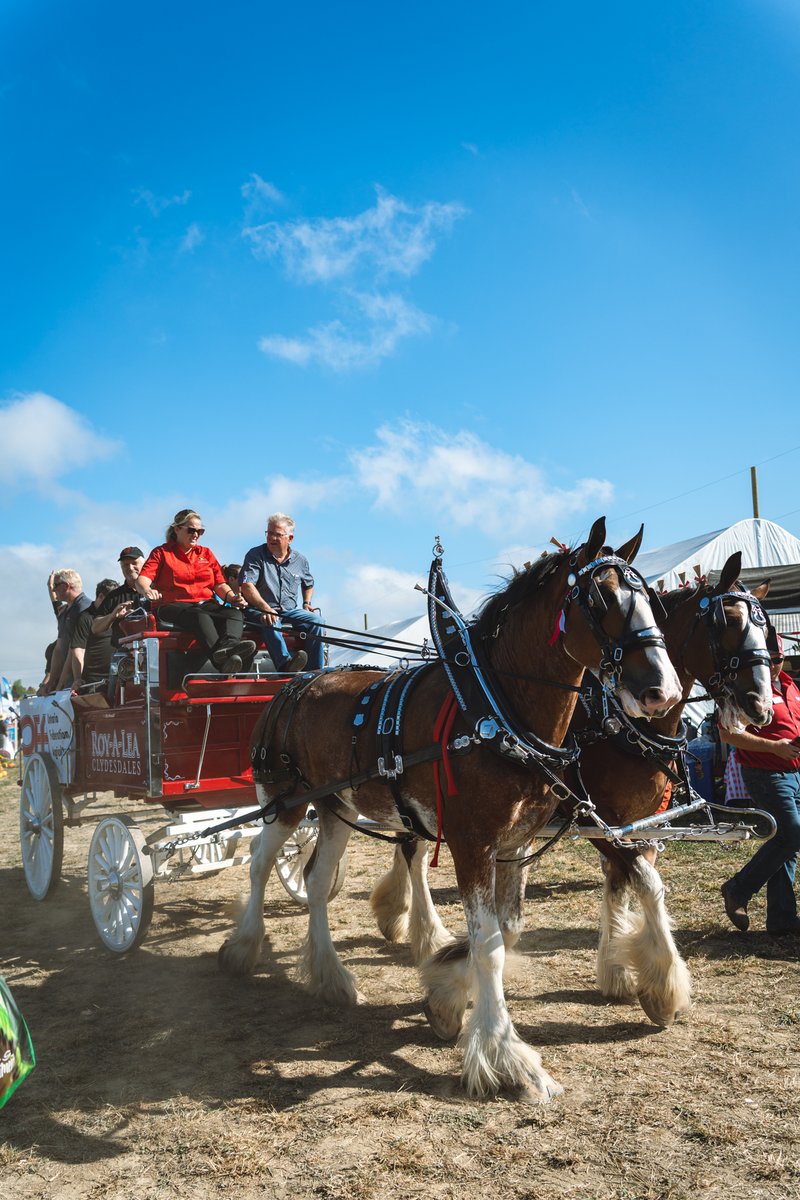 Honourable Kevin Holland tweet media