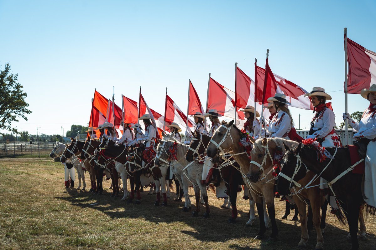 Honourable Kevin Holland tweet media