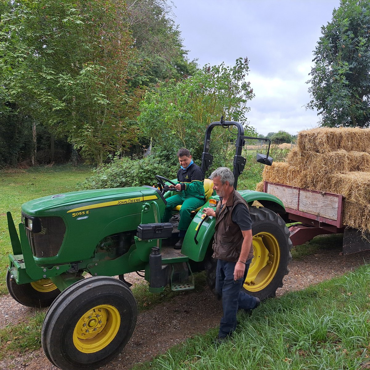 ThornageHall's tweet image. Charlie in his element! 🚜

With support from Steve keeping things running smoothly. 😊 

#Teamwork #Farming #Biodynamics #Community #ThornageHall