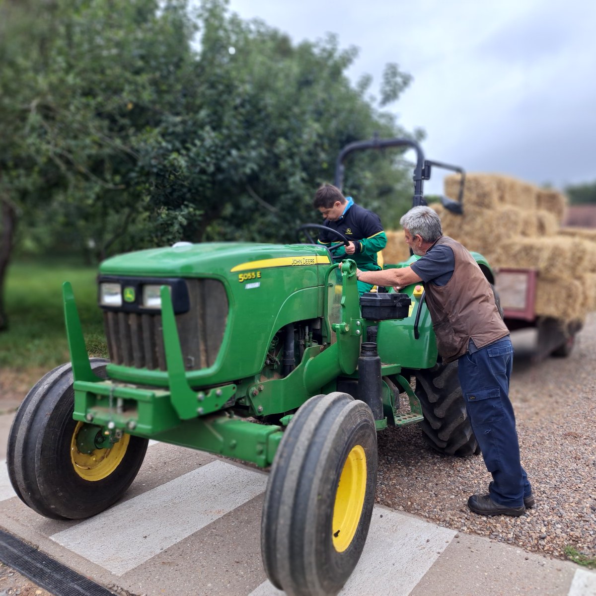 ThornageHall's tweet image. Charlie in his element! 🚜

With support from Steve keeping things running smoothly. 😊 

#Teamwork #Farming #Biodynamics #Community #ThornageHall