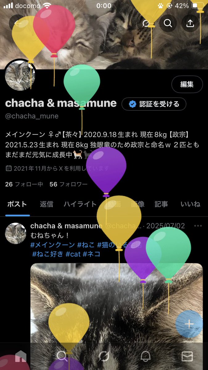 chacha_mune's tweet photo. 茶々誕生日おめでとう🎊
病気に負けず長生きしてくれよ https://t.co/gedycvHFap