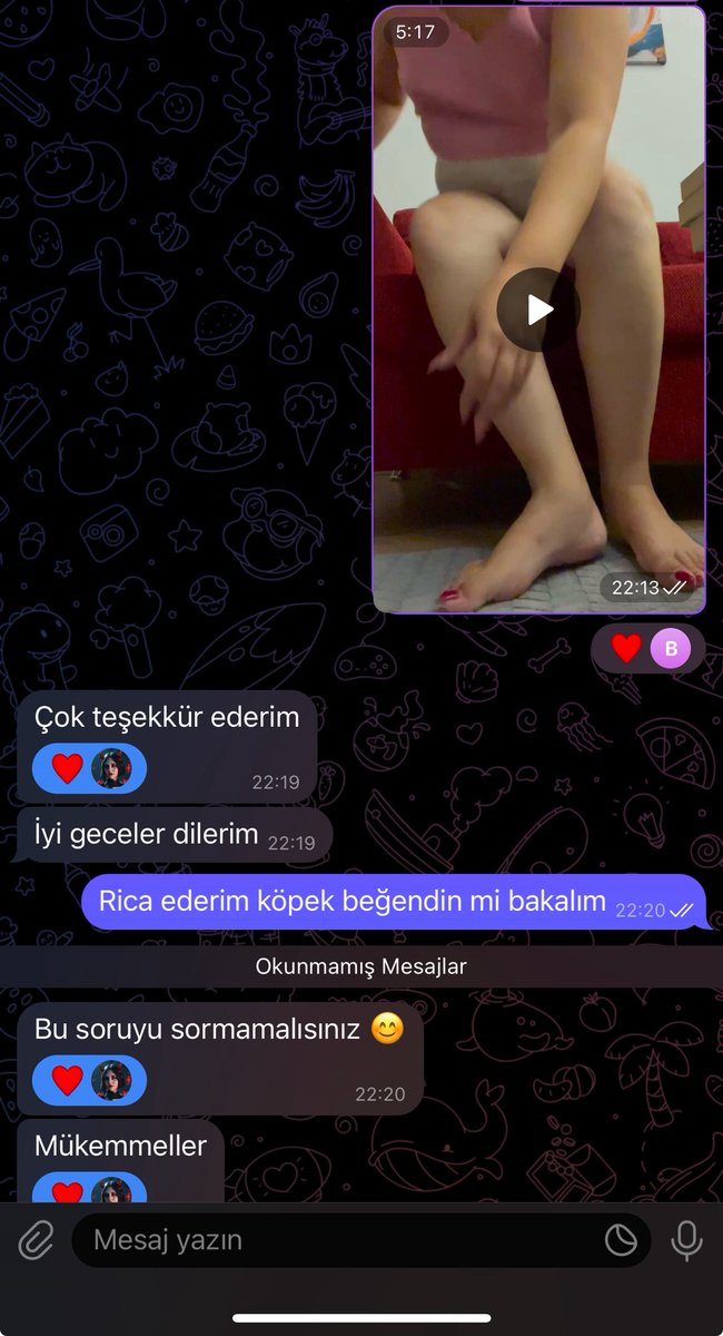Video alan şanslı köpeklerim 😈