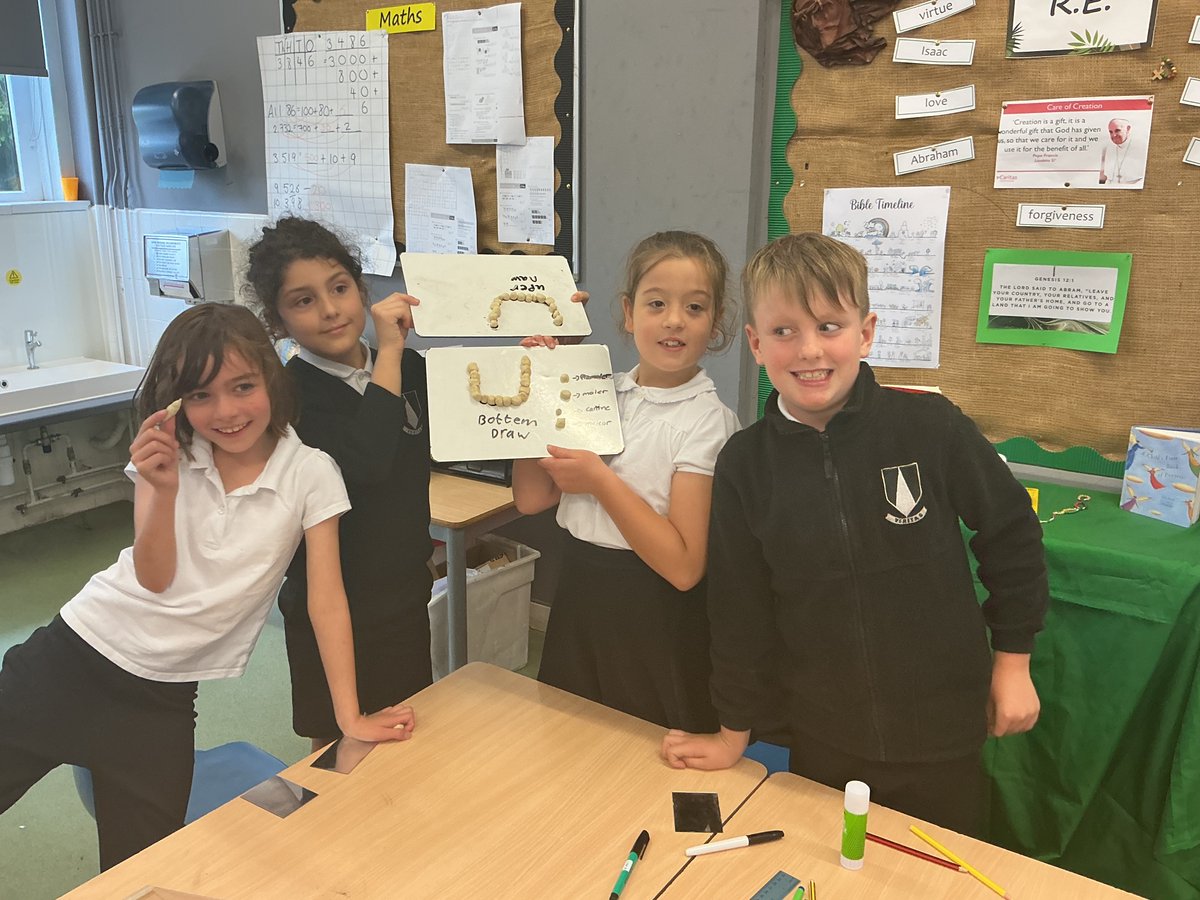 SCOSStDavid's tweet photo. Amazing work in our science lesson today making models of teeth. #StCathsScience https://t.co/Kb81sWjWqh