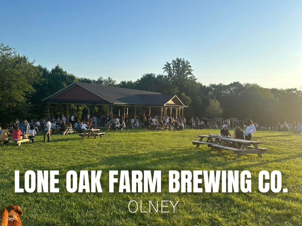 Meet the farms on the Maryland Farm Tours! Take a tour of the property, brewing and distilling areas at Lone Oak Farm Brewing Company LLC. Learn more: marylandfarmtours.com We can't wait to see you at the #MarylandFarmTours!