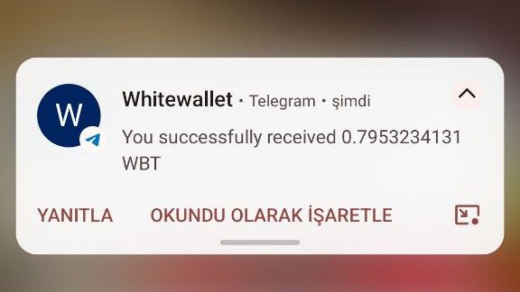 Gidipte 1 $WBT bile veremediler :D Hele benim aldığım drop yine neyse çoğu kişi 6-7 dolar almış.. <a href="/PocketRocket_io/">Pocket Rocket</a>