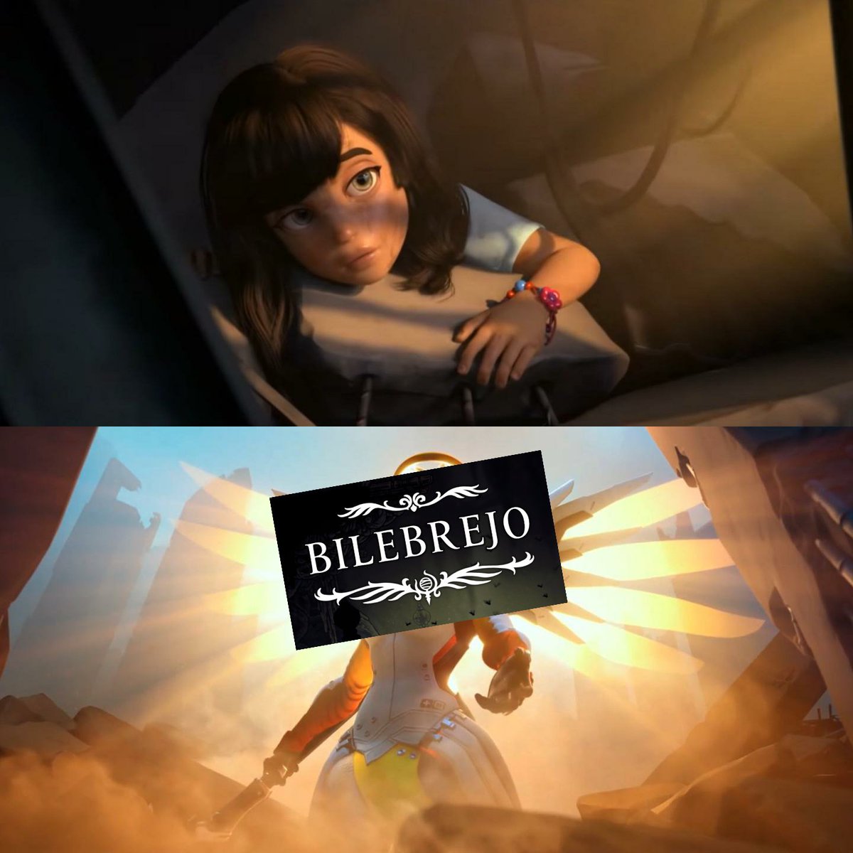 acho q eu pedi né...