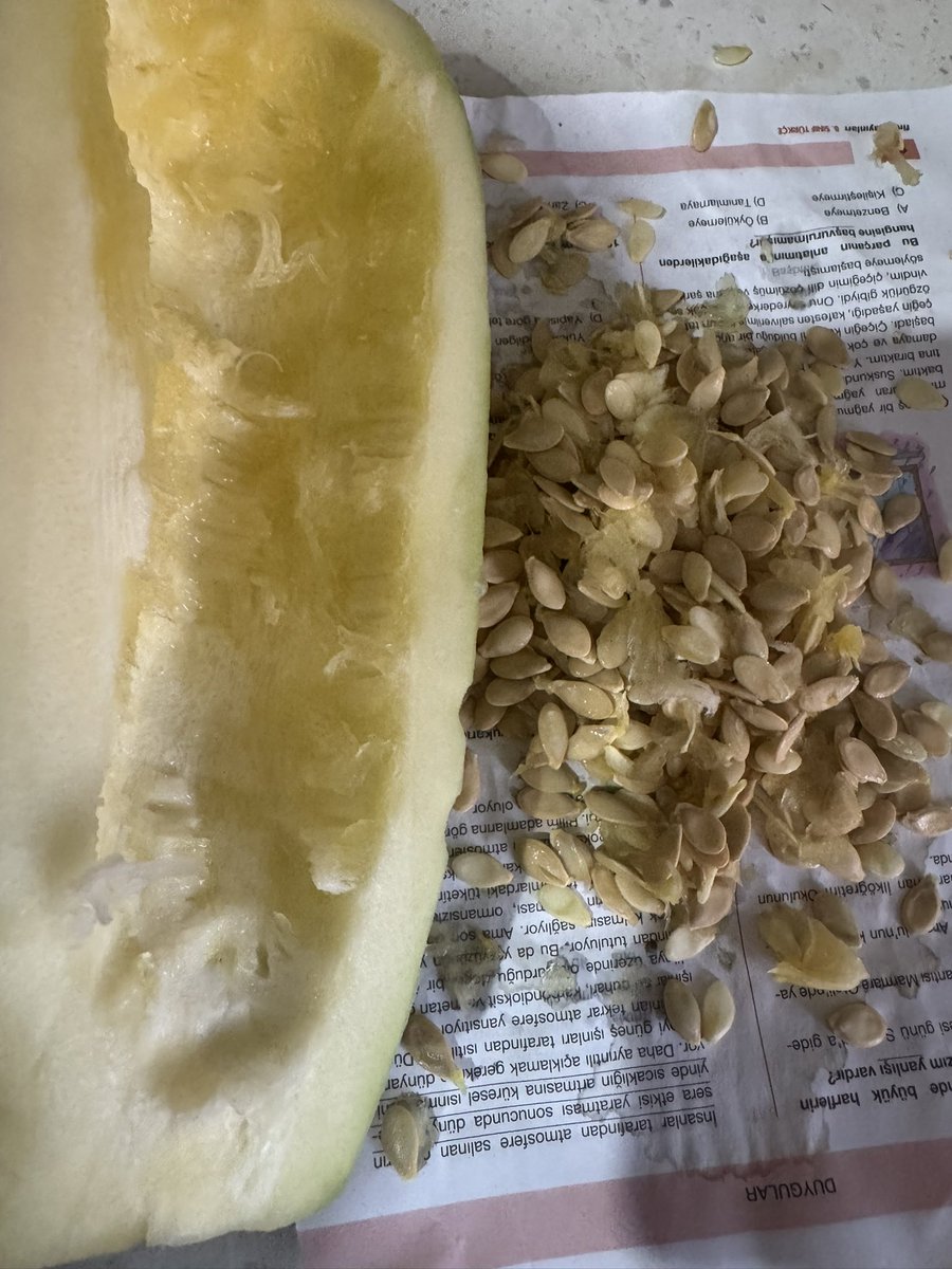 Tek bir sebze kabağına, hem sofralarımızın nimetini hem de yüzlerce tohumunu sığdıran yaradana şükürler olsun. Bu bereket içerisinde Çeri domates kadar beyni olmayanlara da akıl fikir versin