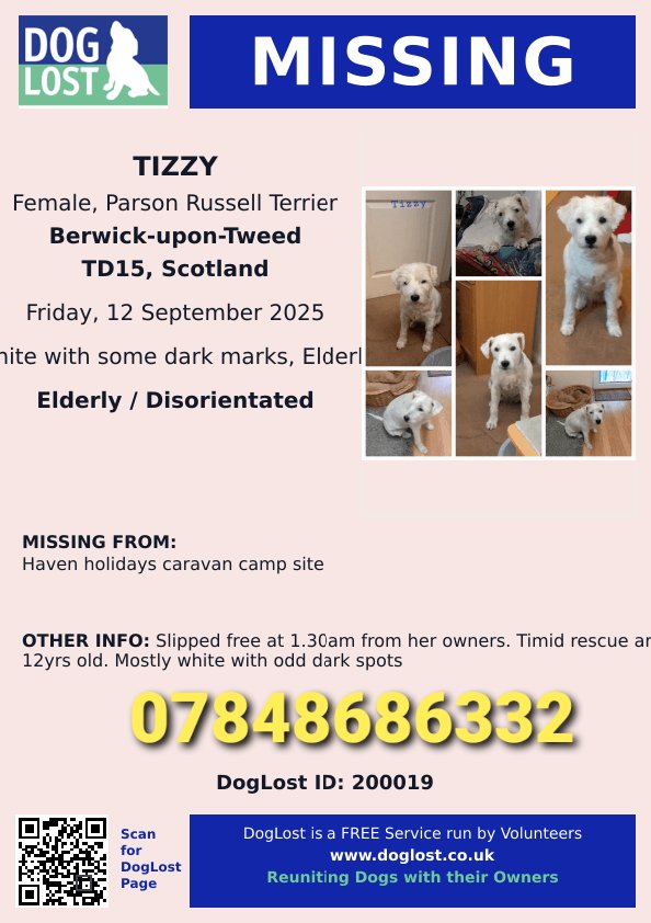 TIZZY is still #missing 😔

TIZZY is missing in an unfamiliar area

She was on holiday with her family in Berwick-upon-Tweed #Northumberland &amp; hasn't been seen since.