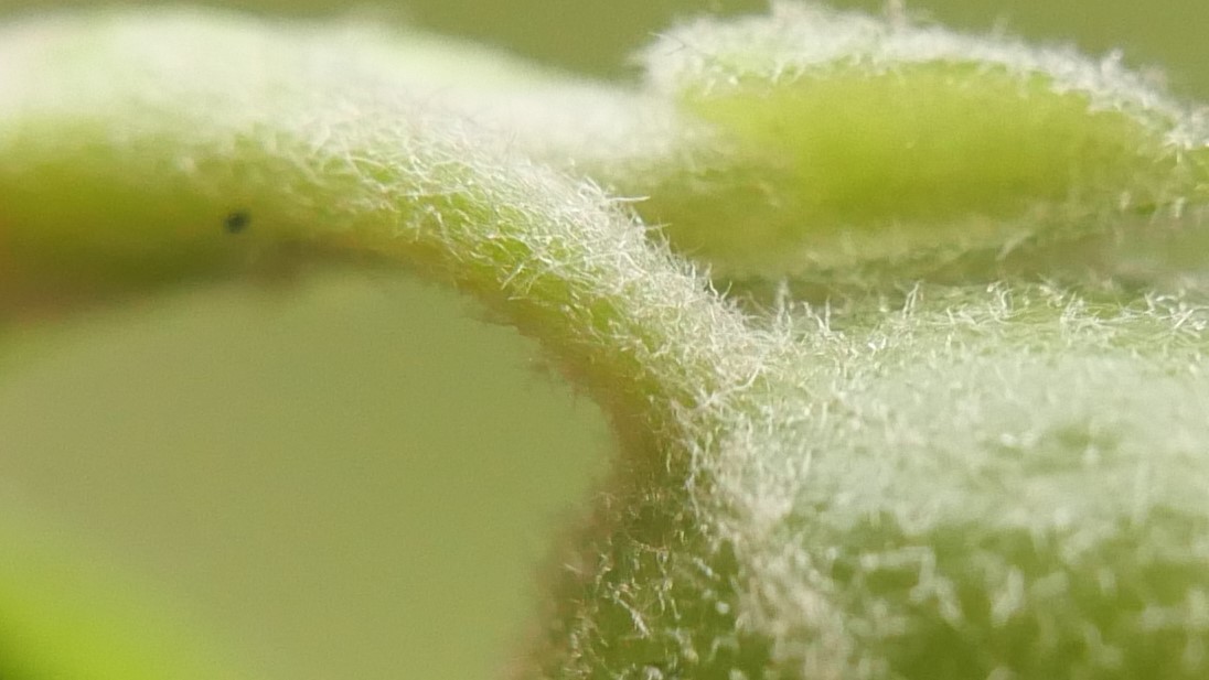 Simon Knott tweet media