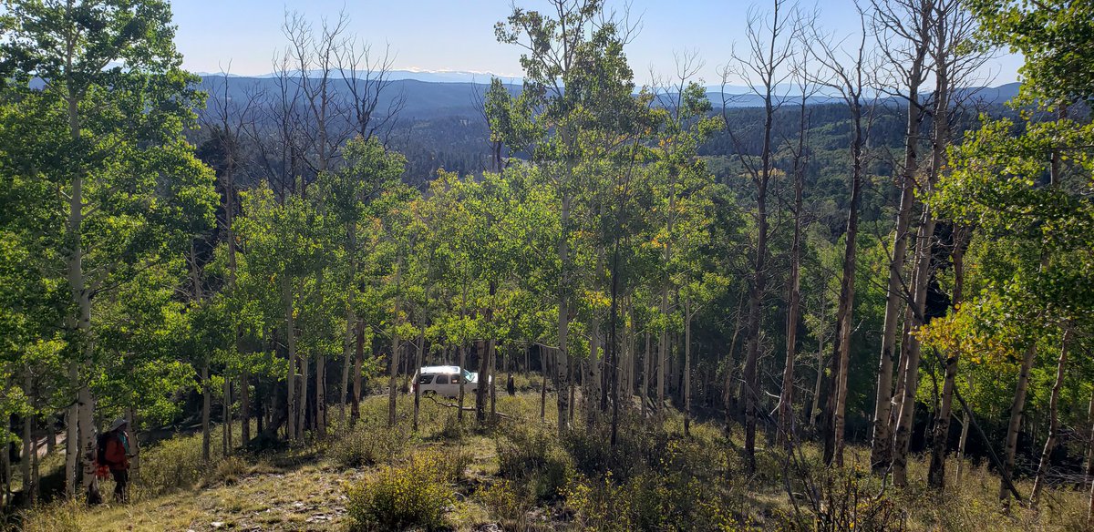 Back to civilization today.

Did you know our bot is up and running? Guess what we're adding next...