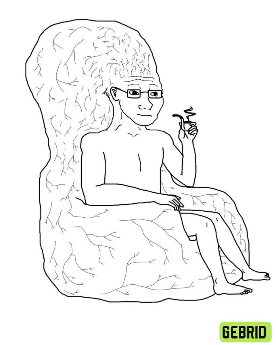 Just got a pic of average <a href="/GEBRID_AI/">GEBRID</a> user