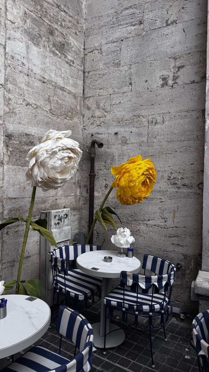 Valide-i Cedid camiinde namaz kılmayı özlemişim🫠 fakat uncular her geçen gün garip bir hal alıyormuş gibi