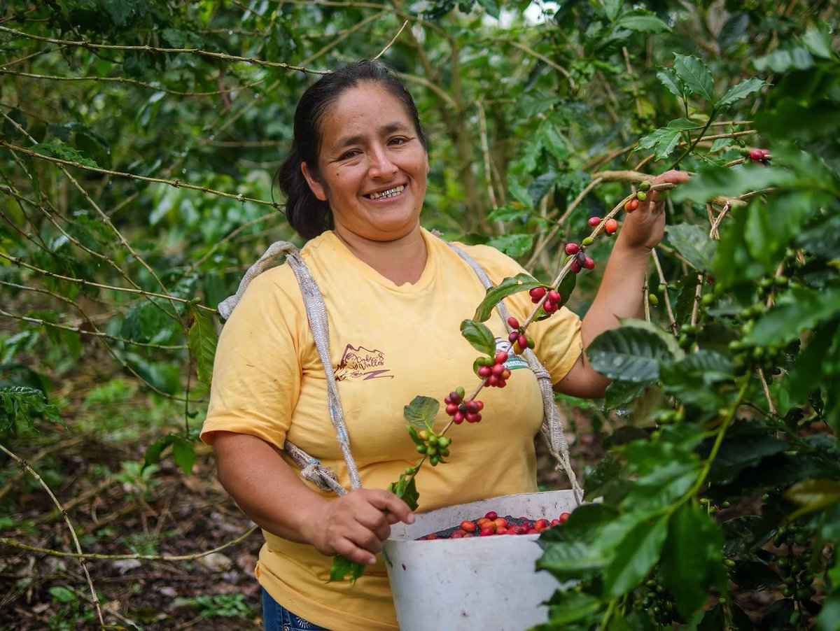 🇵🇪🤝🇨🇭Viceministro César Manuel Quispe Luján <a href="/MINPRODUCCION/">Ministerio de la Producción</a> y representantes de <a href="/SECO_CH/">SECO</a>, Daniela Fabel y André Pantzer, revisaron el apoyo suizo al programa de calidad <a href="/GQSPPeru/">GQSP Peru</a>, Ecoparques Industriales <a href="/PEIPERU_ONUDI/">PEIPERU</a> y la Ventanilla Única de Inversiones con <a href="/OECD/">OECD ➡️ Better Policies for Better Lives</a> <a href="/EmbSuizaPeru/">Embajador Paul Garnier</a>