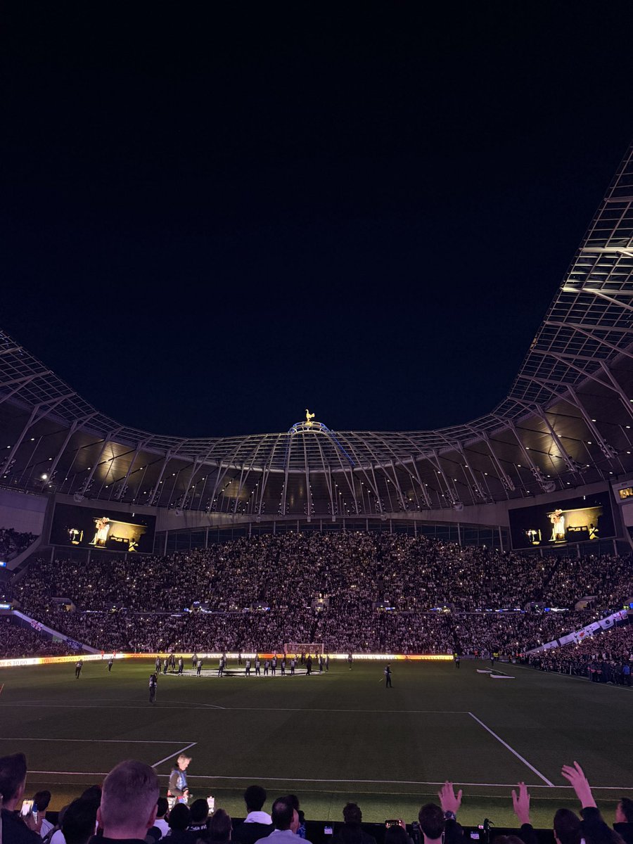 el ⭐️🦘 tweet media