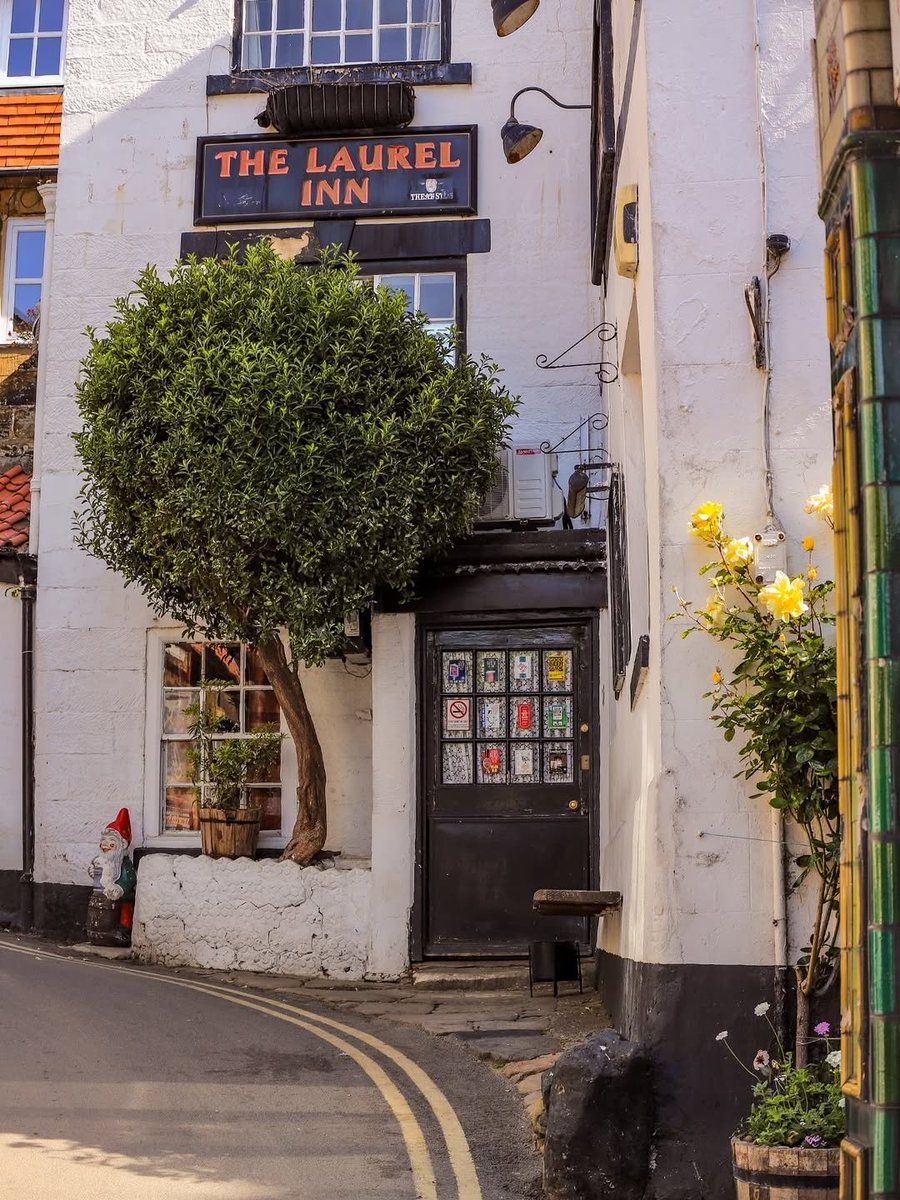 North Yorkshire tweet media