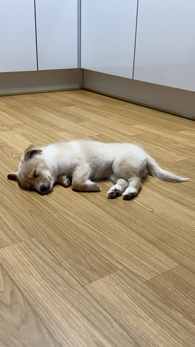 안녕히 주무세요