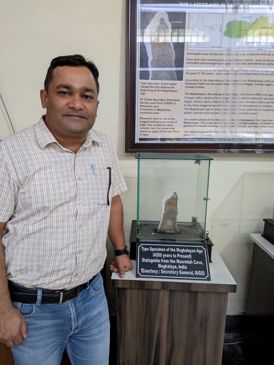 Gaurav Srivastava (@gaurav_bsip) on Twitter photo Standing beside the Meghalayan Stage stalagmite in BSIP Museum — a silent storyteller of our planet’s history Standing beside the Meghalayan Stage stalagmite in BSIP Museum — a silent storyteller of our planet’s history